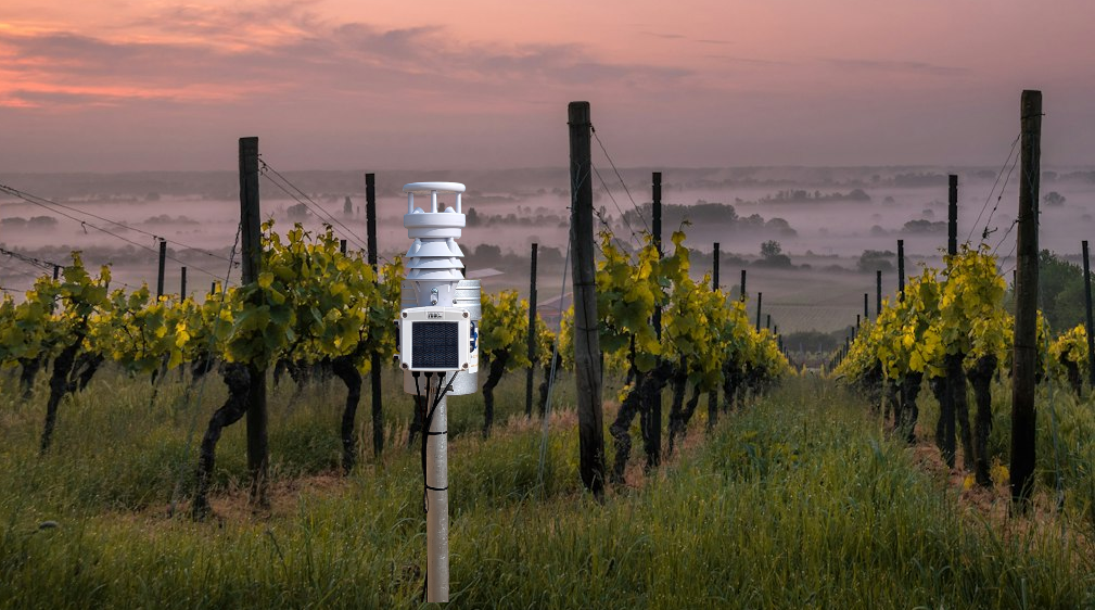 Weather Station Banner